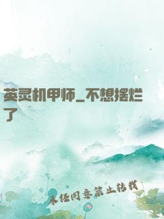英灵机甲师