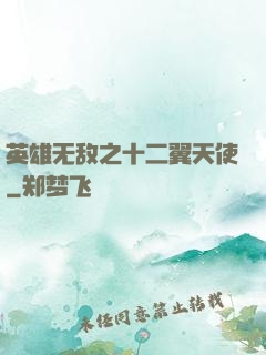 英雄无敌之十二翼天使
