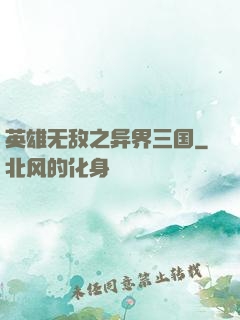 英雄无敌之异界三国