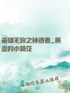 英雄无敌之神选者