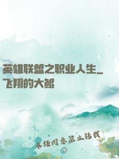 英雄联盟之职业人生