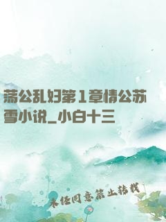荡公乱妇第1章情公苏雪小说