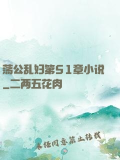 荡公乱妇第51章小说
