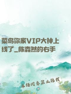 菜鸟你家VIP大神上线了