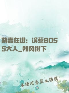萌妻在逃：误惹BOSS大人
