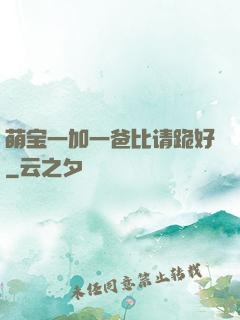萌宝一加一爸比请跪好