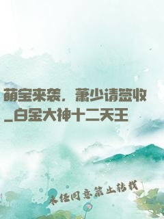 萌宝来袭，萧少请签收