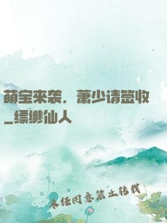 萌宝来袭，萧少请签收