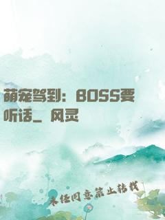 萌宠驾到：BOSS要听话