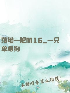 落地一把M16