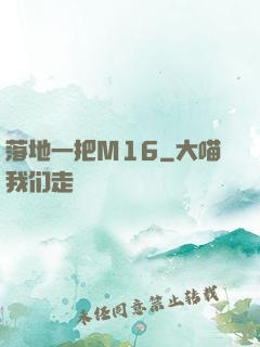 落地一把M16