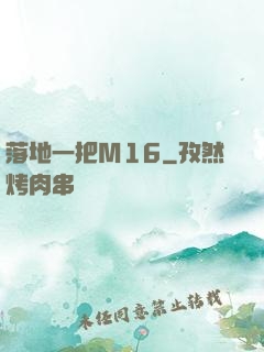 落地一把M16