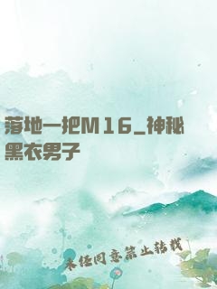 落地一把M16