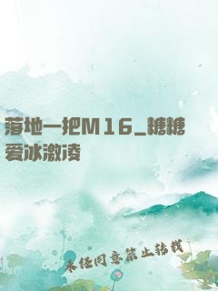 落地一把M16