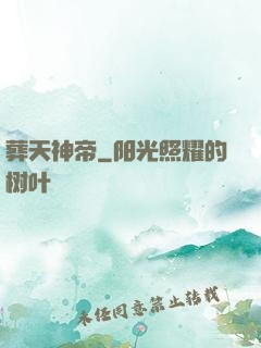 葬天神帝