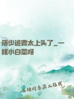 薄少追妻太上头了