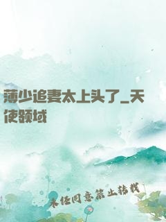 薄少追妻太上头了