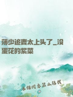 薄少追妻太上头了