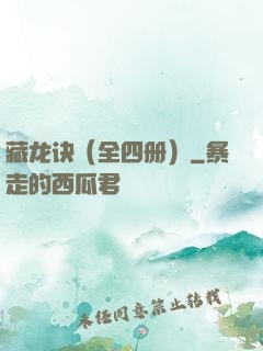 藏龙诀（全四册）