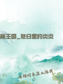 藤王国