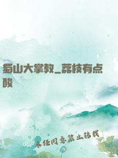 蜀山大掌教