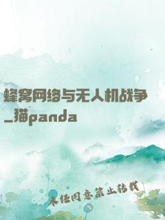 蜂窝网络与无人机战争