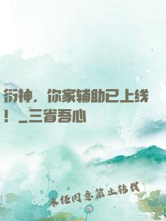 衍神，你家辅助已上线！