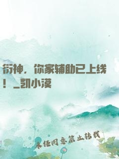 衍神，你家辅助已上线！