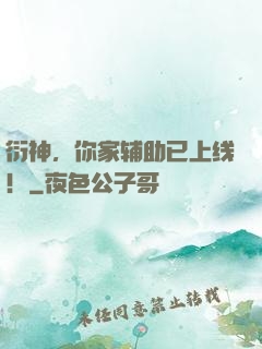 衍神，你家辅助已上线！