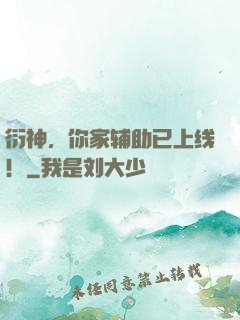 衍神，你家辅助已上线！