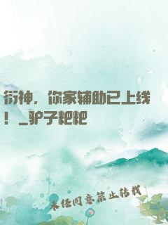 衍神，你家辅助已上线！