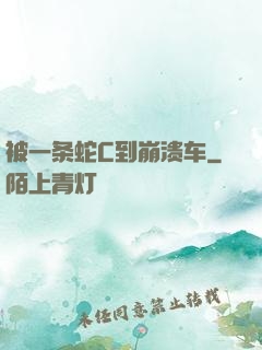 被一条蛇C到崩溃车
