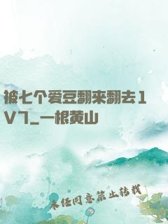 被七个爱豆翻来翻去1V7