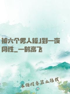 被六个男人躁J到一夜同性
