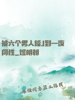 被六个男人躁J到一夜同性