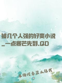 被几个人强的好爽小说