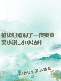 被少妇滋润了一夜爽爽爽小说