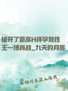 被开了苞高H怀孕双性王一博肖战