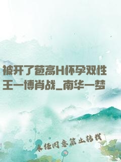 被开了苞高H怀孕双性王一博肖战