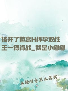 被开了苞高H怀孕双性王一博肖战