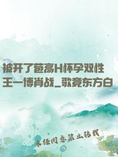 被开了苞高H怀孕双性王一博肖战