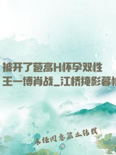 被开了苞高H怀孕双性王一博肖战