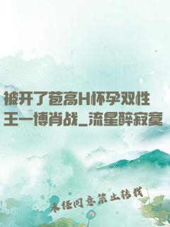 被开了苞高H怀孕双性王一博肖战