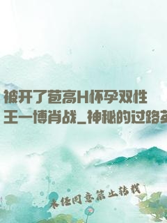 被开了苞高H怀孕双性王一博肖战
