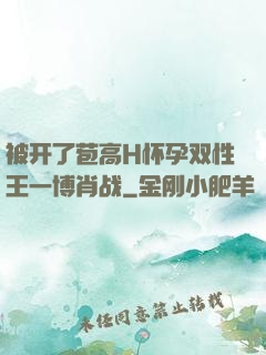 被开了苞高H怀孕双性王一博肖战