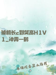 被机长c到哭高H1V1