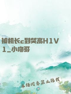 被机长c到哭高H1V1