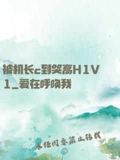 被机长c到哭高H1V1