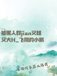 被黑人群jian又粗又大H