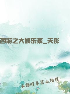 西游之大娱乐家